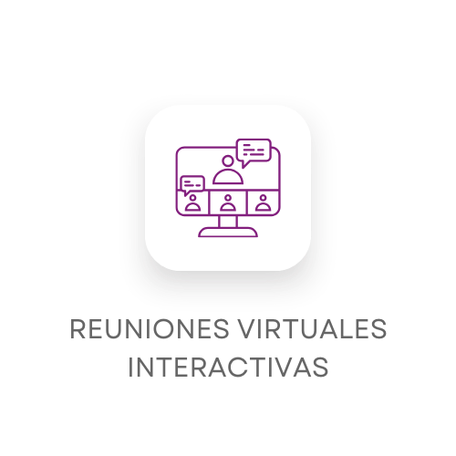 ESP-REUNIONS VIRTUALS INTERACTIVES